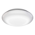 Steinel 035440 - LED Oświetlenie zewnętrzne z czujnikiem QUATTRO LED/10W/230V IP54