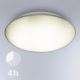 STEINEL 057596- LED Zewnętrzna lampa sufitowa z czujnikiem QUATTRO LED/14W/230V IP54 3000K