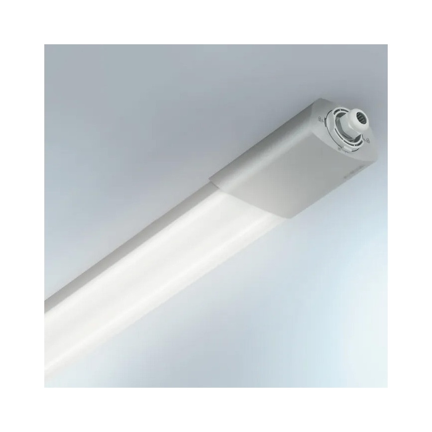 Steinel 058722 - LED ściemnialne oświetlenie techniczne RS PRO 5150 C LED/42W/230V IP65