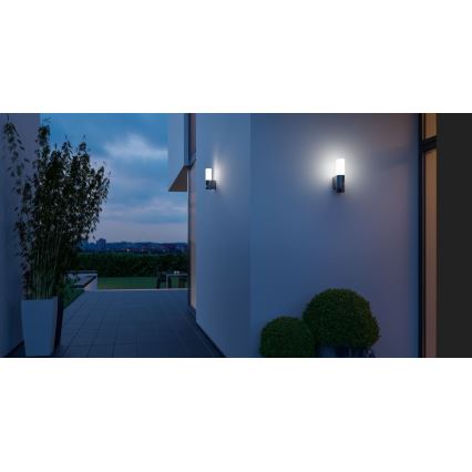 Steinel 065287 - LED Oświetlenie zewnętrzne z czujnikiem L 605 LED/9,5W/230V IP44 antracyt