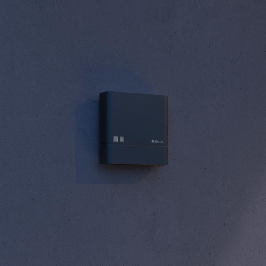 Steinel 066116 - Wyłącznik zmierzchowy NIGHTMATIQ Plus IP54 antracyt