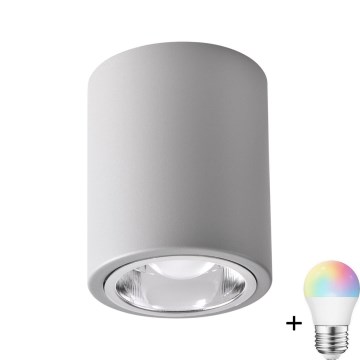 Stmívatelné bodové svítidlo LED RGBW JUPITER 1xE27/6,5W/230V 2700-6500K Wi-Fi pr. 9,8 cm šedá