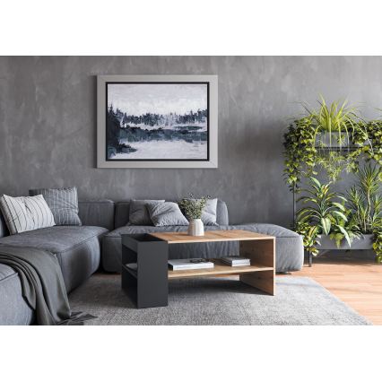 Stolik kawowy BELA 100x42 cm dąb artisan/antracyt