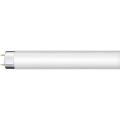 Świetlówka G13/36W/230V 120 cm