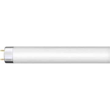Świetlówka G13/36W/230V 120 cm - Narva 108132000