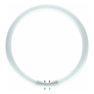 Świetlówka kołowa Philips 2GX13/60W/230V - MASTER TL5