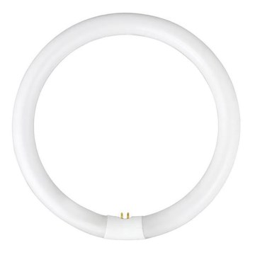 Świetlówka kołowa YH G10q/22W/230V 2700K - Fulgur 03105