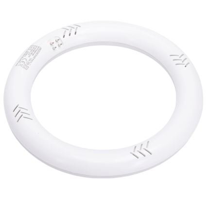Świetlówka LED G10q/14W/230V 6500K - Aigostar