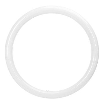 Świetlówka LED G10q/20W/230V 6500K - Aigostar