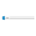 Świetlówka LED Philips T8 G13/31,5W/230V 3000K 150 cm