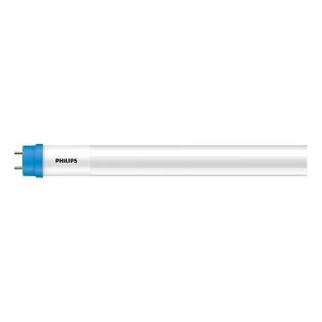 Świetlówka LED Philips T8 G13/31,5W/230V 3000K 150 cm