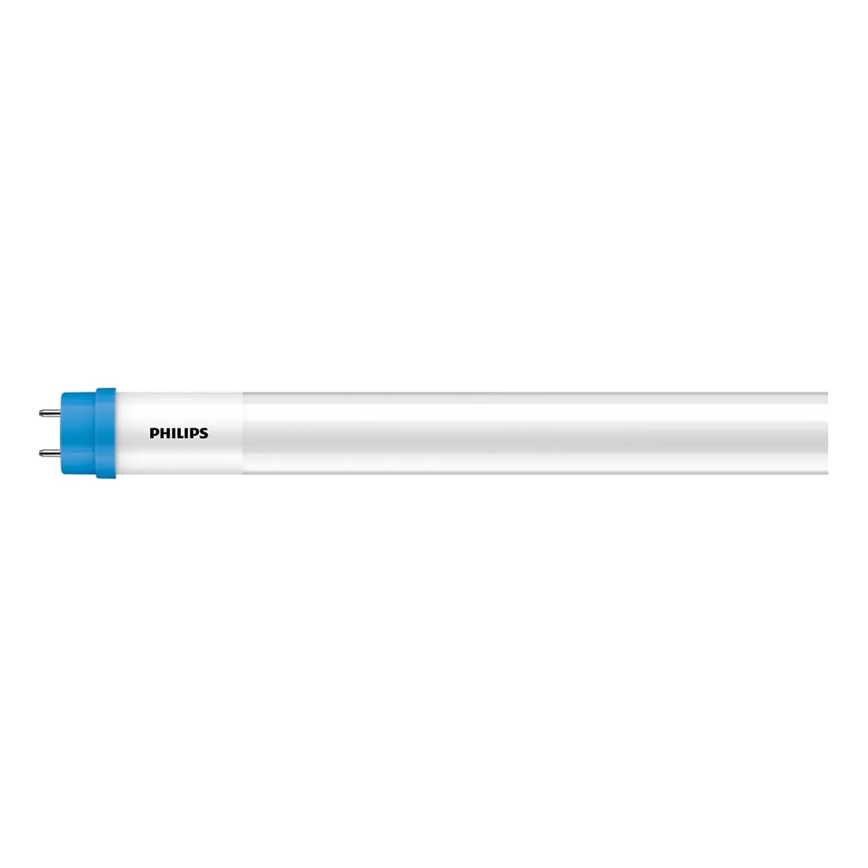 Świetlówka LED Philips T8 G13/31,5W/230V 3000K 150 cm
