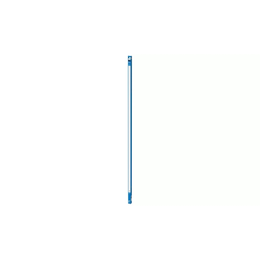Świetlówka LED Philips T8 G13/31,5W/230V 3000K 150 cm