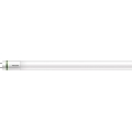 Świetlówka LED Philips T8 G13/31,5W/230W 4000K 150 cm