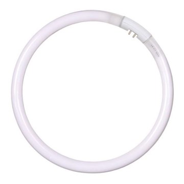 Świetlówka liniowa T5/32W/230V - Lucide 94/79100325