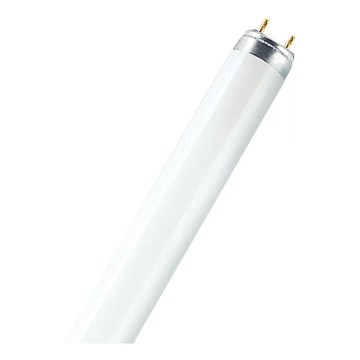 Świetlówka T8 G13/15W/55V 4000K 45 cm - Osram