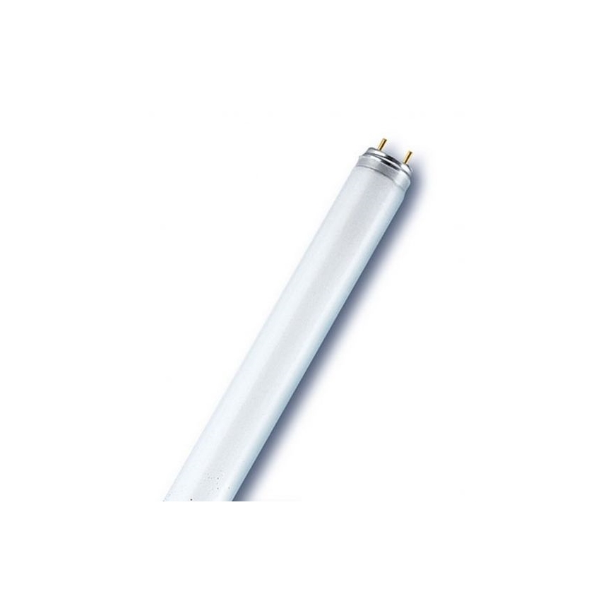 Świetlówka T8 G13/18W/230V 6500K 60 cm