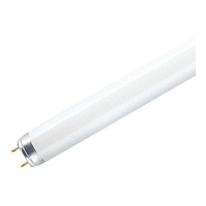 Świetlówka T8 G13/36W/230V 6500K 120 cm