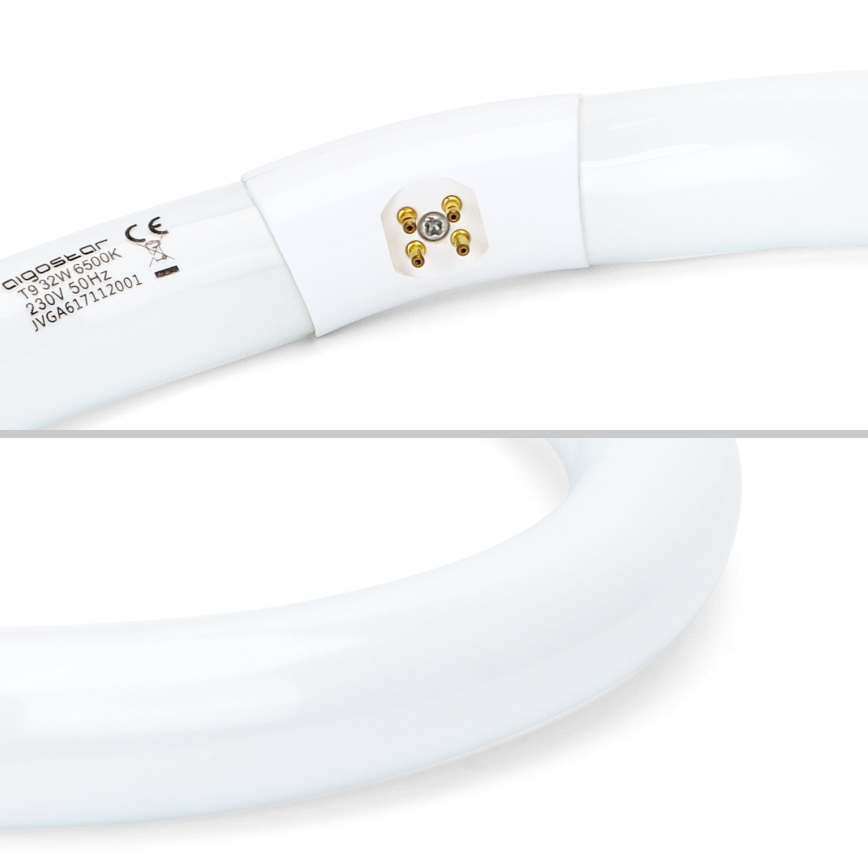 Świetlówka T9 G10q/32W/230V 6500K - Aigostar