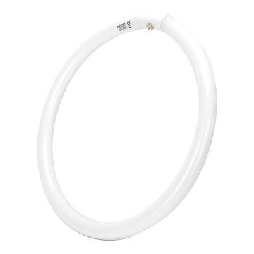 Świetlówka T9 G10q/40W/230V 6500K - Aigostar