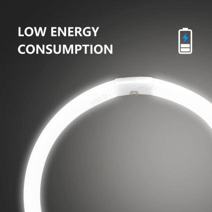 Świetlówka T9 G24q-1/40W/230V 6500K - Aigostar