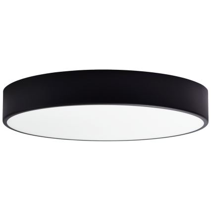 Szkło zamienne do oprawy sufitowej CLEO 50 cm szkło