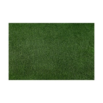 Sztuczna trawa BELLIN 200x400 cm 18 mm zielona