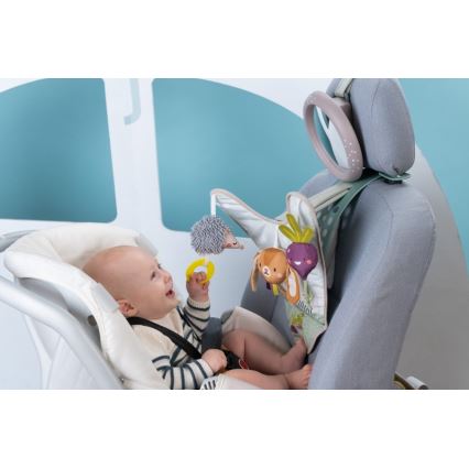 Taf Toys - Mata edukacyjna do samochodu Ogród