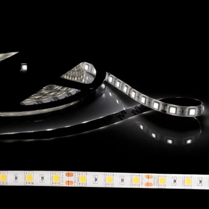 Taśma LED 5m 28W/12V IP65 6500K