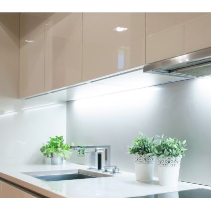 Taśma LED TRAMO LED/500W/12V 50m 6500K