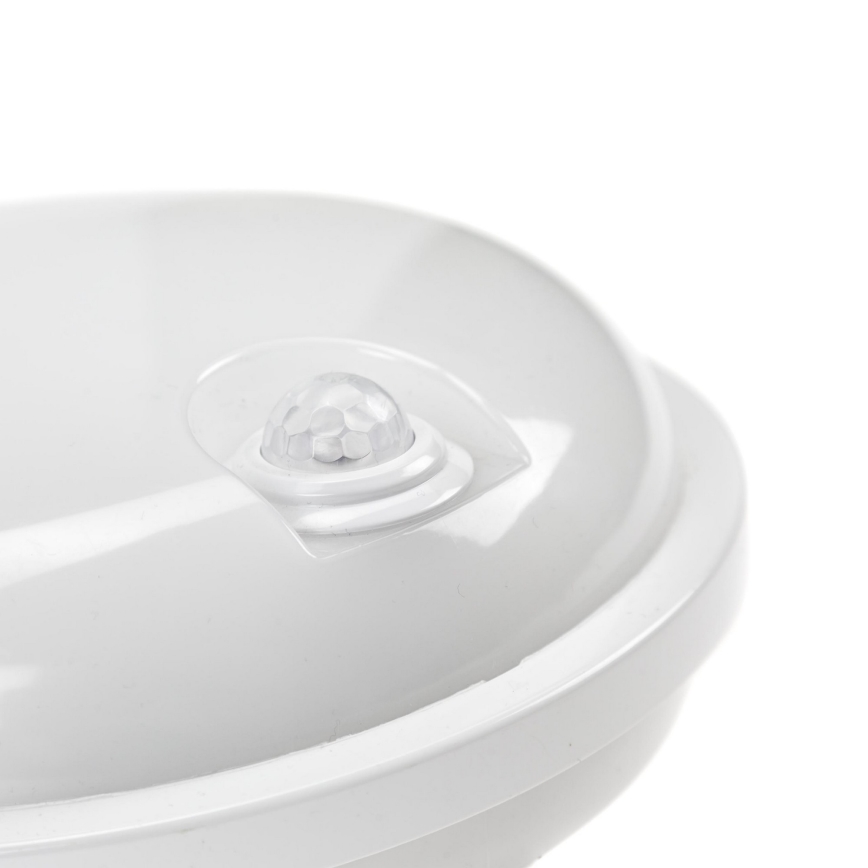 Techniczne oświetlenie LED z czujnikiem PIR LED/20W/230V IP54
