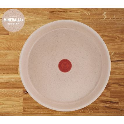 Tefal - 6-częściowy zestaw naczyń INGENIO DELIGHT