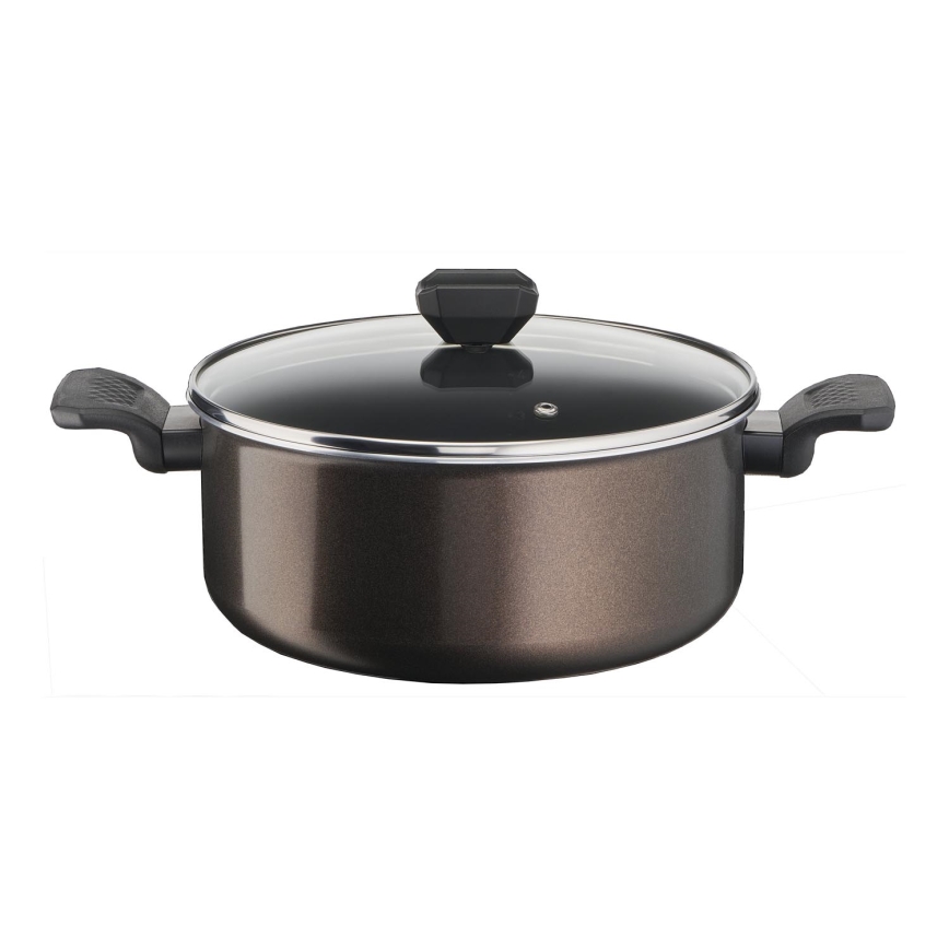 Tefal - Garnek z pokrywką EASY COOK & CLEAN 24 cm
