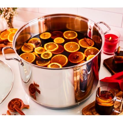 Tefal - Garnek z pokrywką INTUITION 22 cm