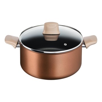 Tefal - Garnek z pokrywką RESPECT śr. 24 cm