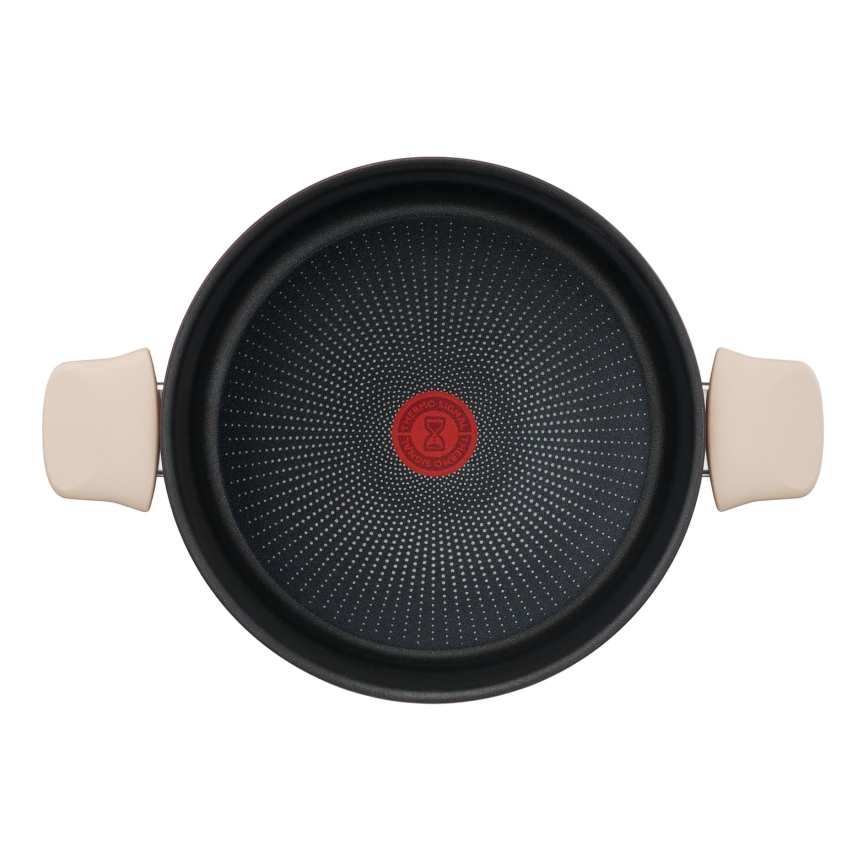 Tefal - Garnek z pokrywką RESPECT śr. 24 cm