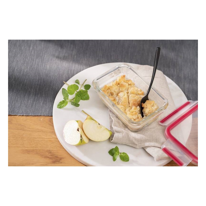 Tefal - Pojemnik na jedzenie 0,45 l MSEAL GLASS czerwony/szkło