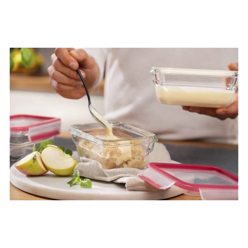 Tefal - Pojemnik na jedzenie 0,45 l MSEAL GLASS czerwony/szkło