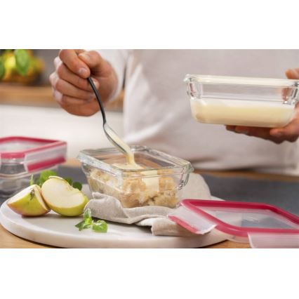 Tefal - Pojemnik na żywność 0,45 l MSEAL GLASS czerwony/szklany