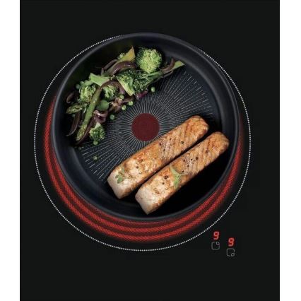 Tefal - Rondel INGENIO Unlimited 20 cm