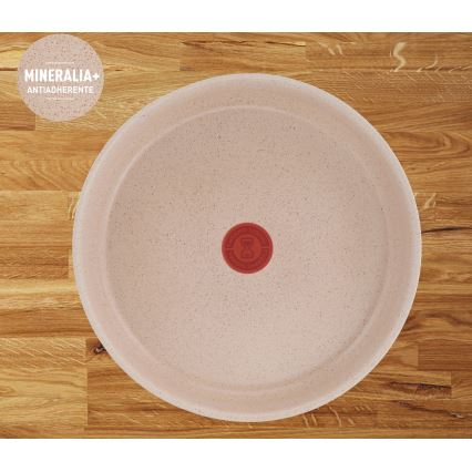 Tefal - Zestaw 3 patelni INGENIO DELIGHT