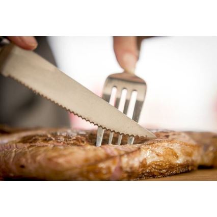 Tefal - Zestaw 4 noży do steku ze stali nierdzewnej ICE FORCE 11 cm, chrom błyszczący/czarny