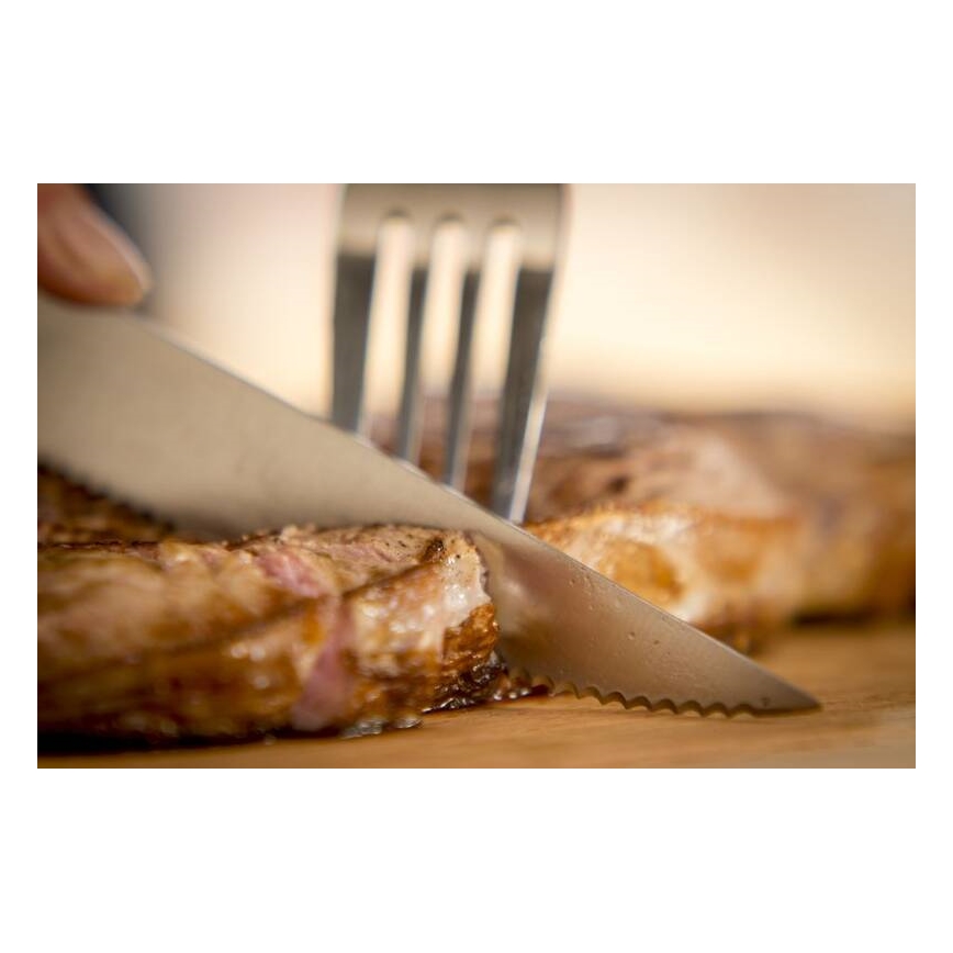 Tefal - Zestaw 4 noży do steku ze stali nierdzewnej ICE FORCE 11 cm, chrom błyszczący/czarny