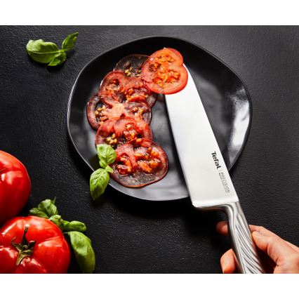 Tefal - Zestaw noży kuchennych PRECISION 3 szt.