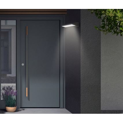 Telefunken - Zewnętrzny kinkiet LED 10W/230V IP44 czarny