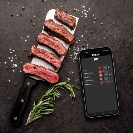 TESLA Electronics Cook - Cyfrowy termometr do mięsa z sondą 0-400 °C 2xAA IP65