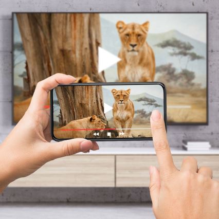 TESLA Electronics - odtwarzacz multimedialny UHD Wi-Fi 2xAAA