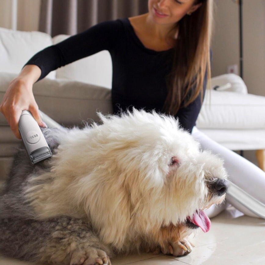 TESLA Electronics PetCare - Zestaw do pielęgnacji sierści zwierząt 300W/230V