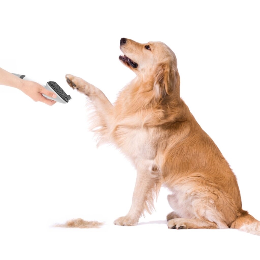 TESLA Electronics PetCare - Zestaw do pielęgnacji sierści zwierząt 300W/230V
