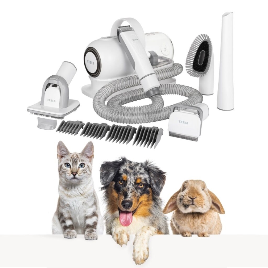 TESLA Electronics PetCare - Zestaw do pielęgnacji sierści zwierząt 300W/230V
